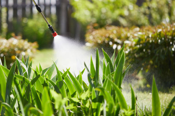 Tamper-Resistant Bait Stations for Rodents in Howell