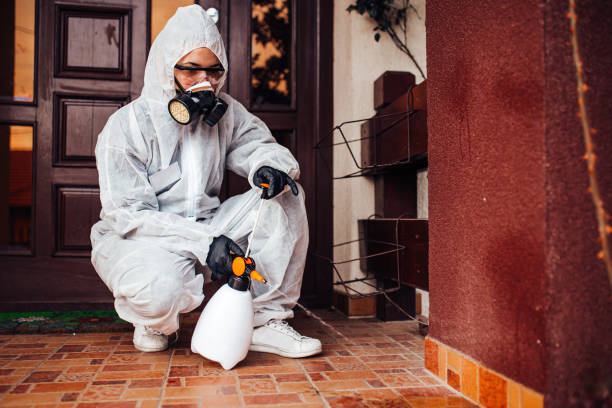 Attic and Crawl Space Rodent Treatment in Howell