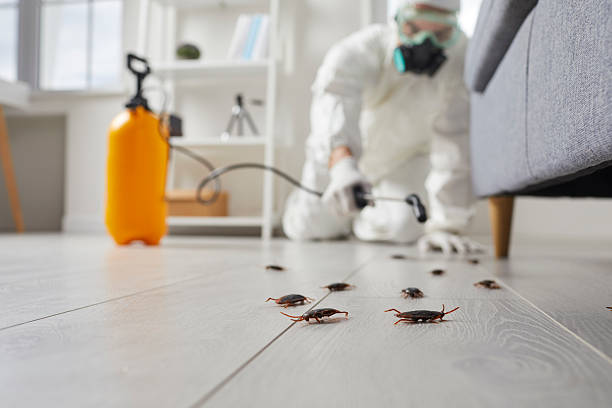 Commercial Rodent Management in Howell
